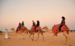 camel-ride-Dubai-desert