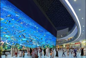 Dubai-Mall-4